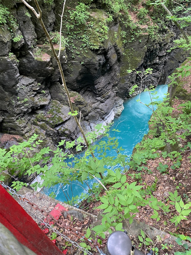 f:id:nutritionaler:20240519142113j:image f:id:nutritionaler:20240519142113j:image