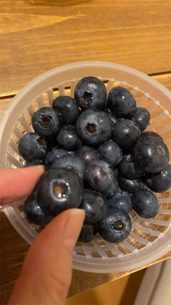 f:id:nutritionaler:20240622143647j:image