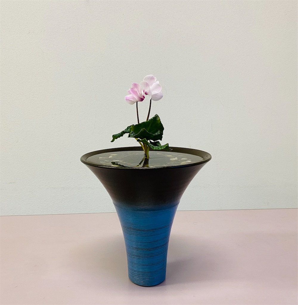 f:id:nutritionaler:20241201202627j:image f:id:nutritionaler:20241201202627j:image