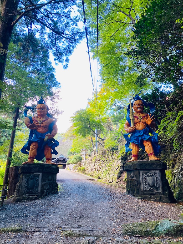 f:id:nutritionaler:20251028113721j:image f:id:nutritionaler:20251028113721j:image