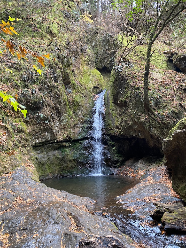 f:id:nutritionaler:20251220180758j:image