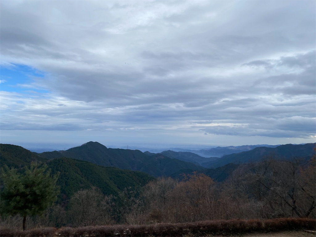 f:id:nutritionaler:20251220180800j:image