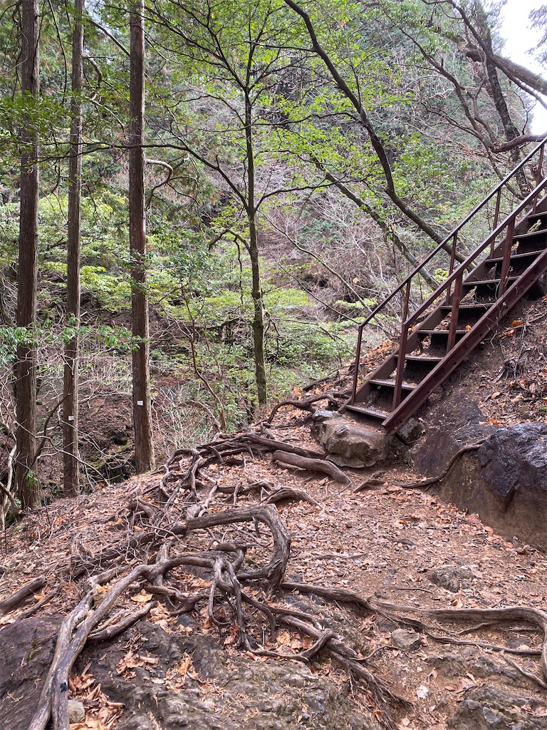 f:id:nutritionaler:20251221051343j:image