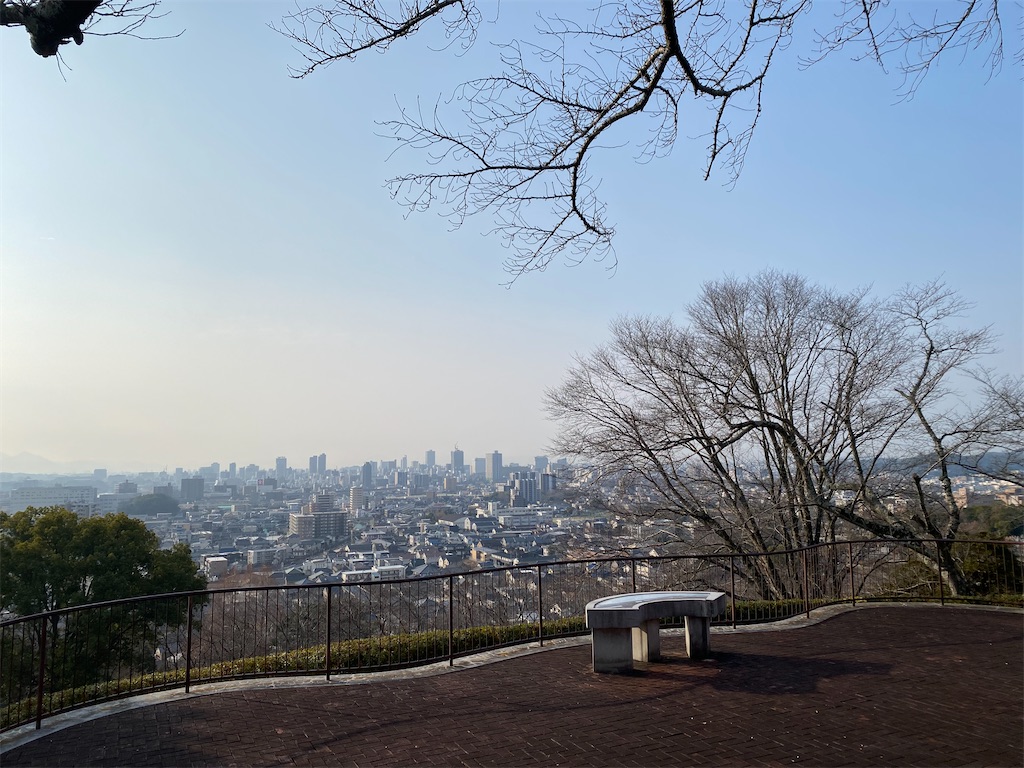 f:id:nutritionaler:20260105143211j:image