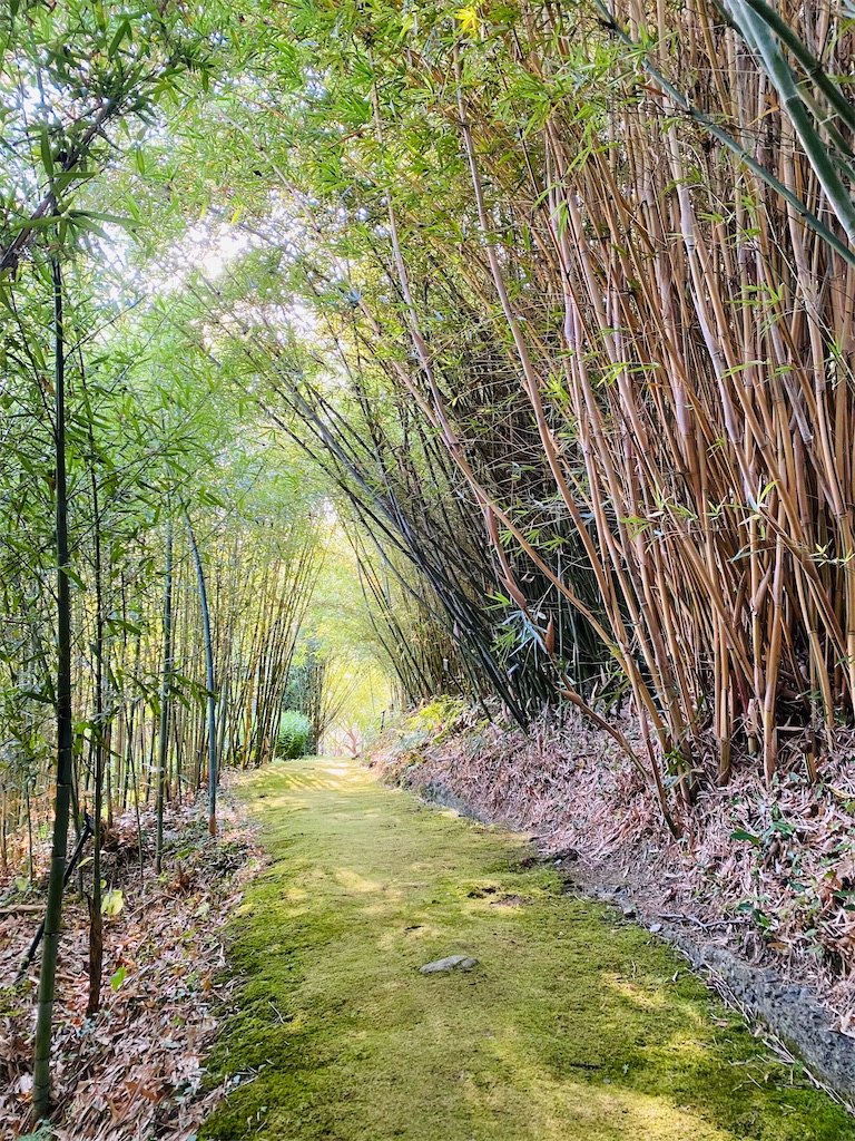 f:id:nutritionaler:20260105151432j:image