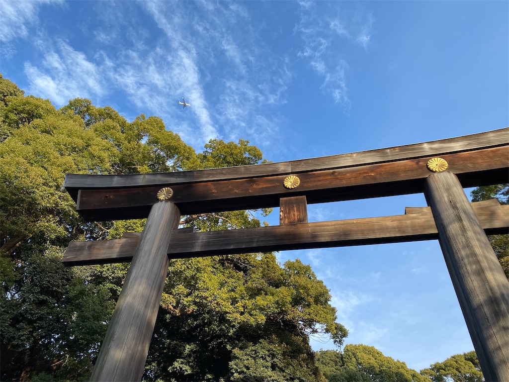 f:id:nutritionaler:20260115220905j:image f:id:nutritionaler:20260115220905j:image