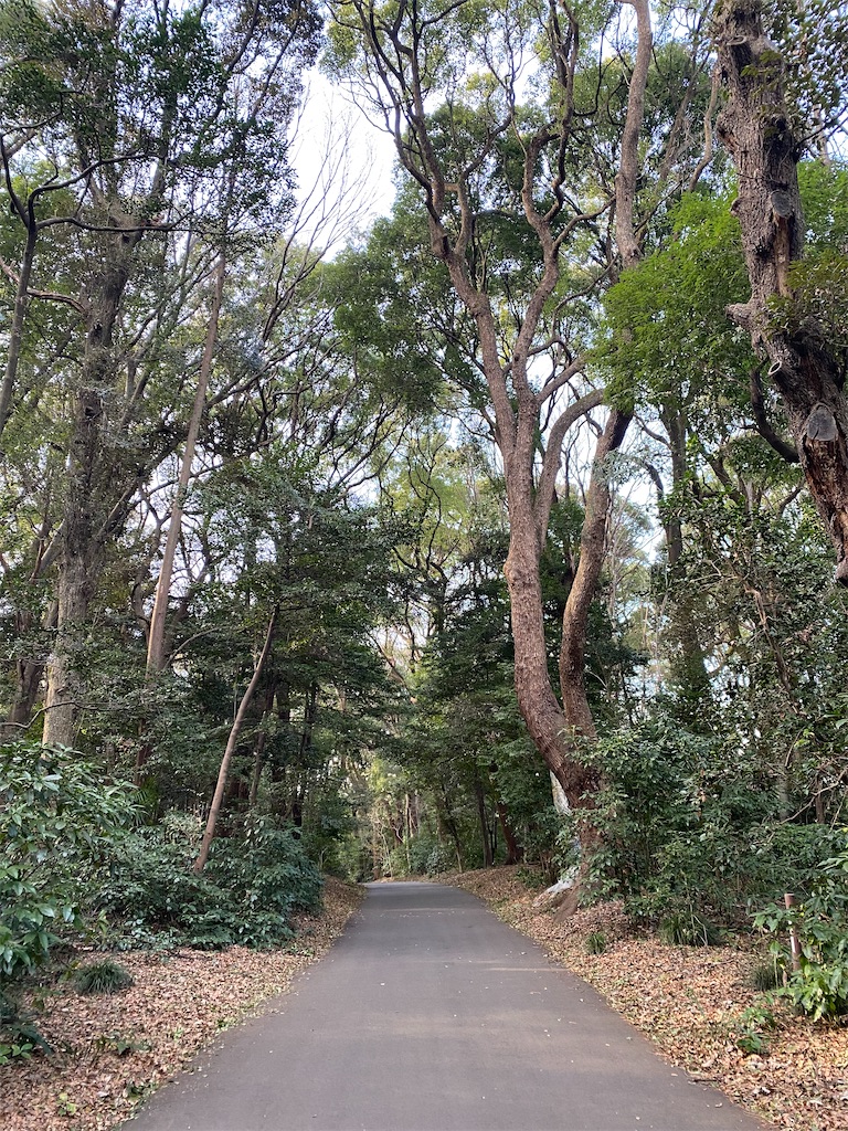 f:id:nutritionaler:20260115223259j:image f:id:nutritionaler:20260115223259j:image