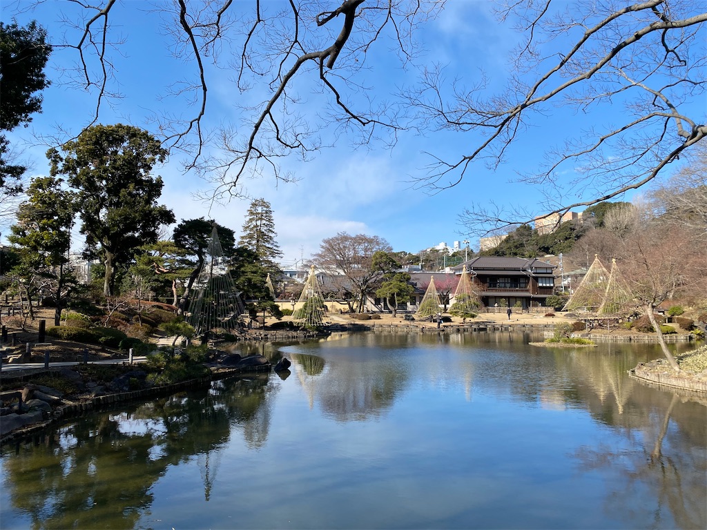 f:id:nutritionaler:20260124124914j:image f:id:nutritionaler:20260124124914j:image