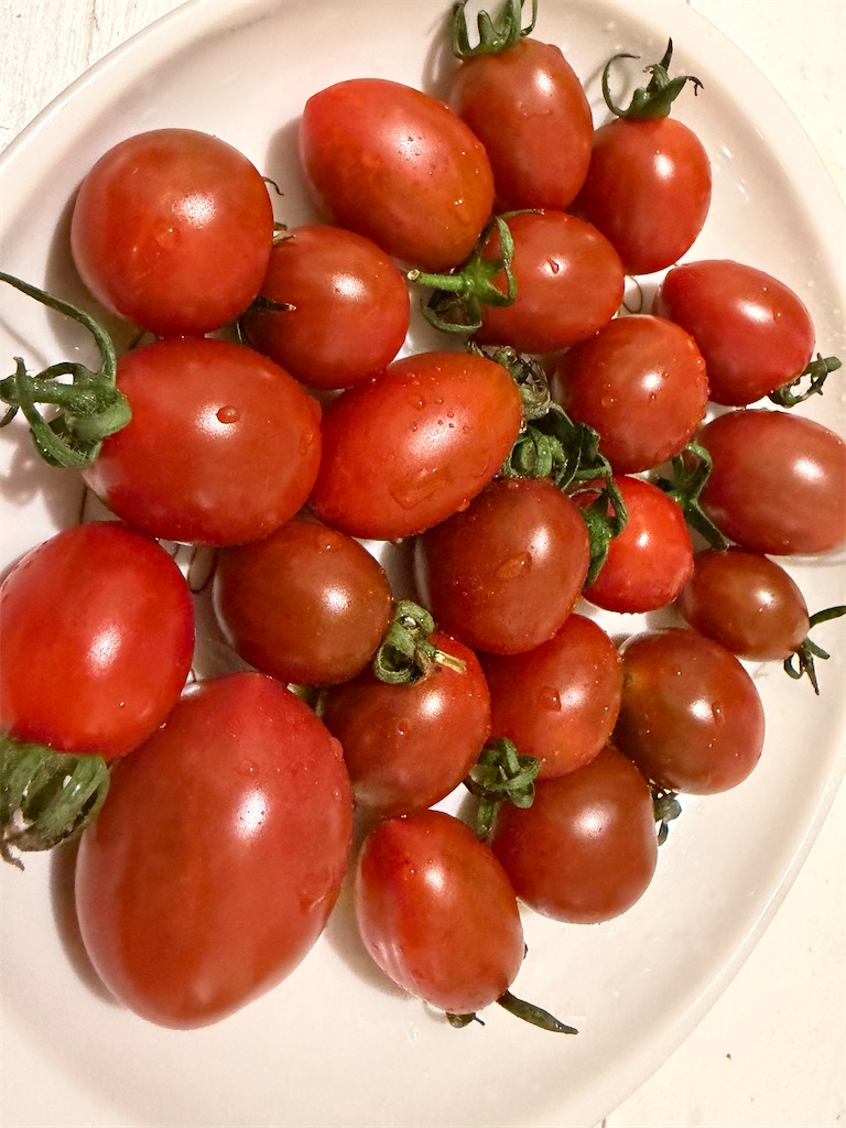f:id:nutritionaler:20260727213445j:image