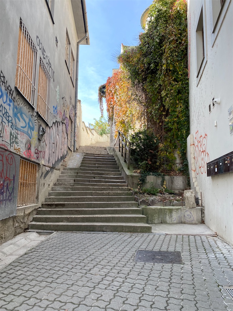 f:id:nuts-roll:20231113130204j:image f:id:nuts-roll:20231113130204j:image