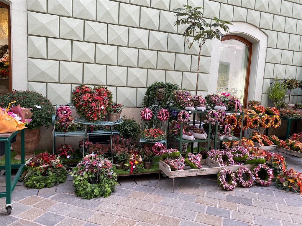 f:id:nuts-roll:20231113134336j:image f:id:nuts-roll:20231113134336j:image