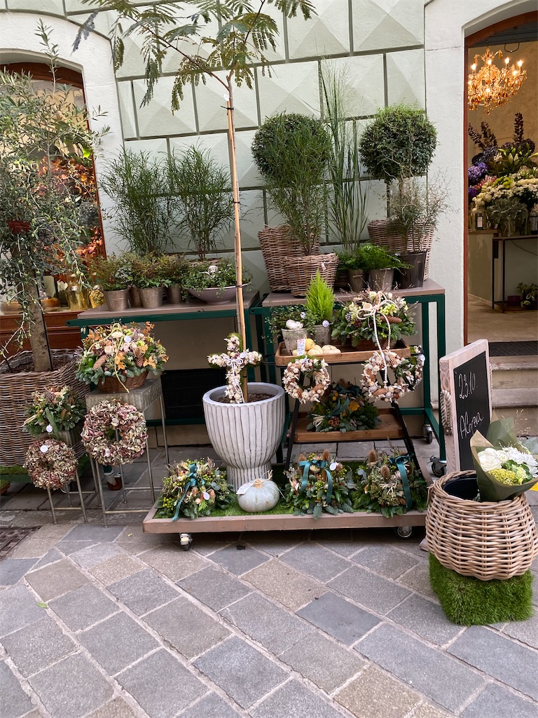 f:id:nuts-roll:20231113134349j:image f:id:nuts-roll:20231113134349j:image