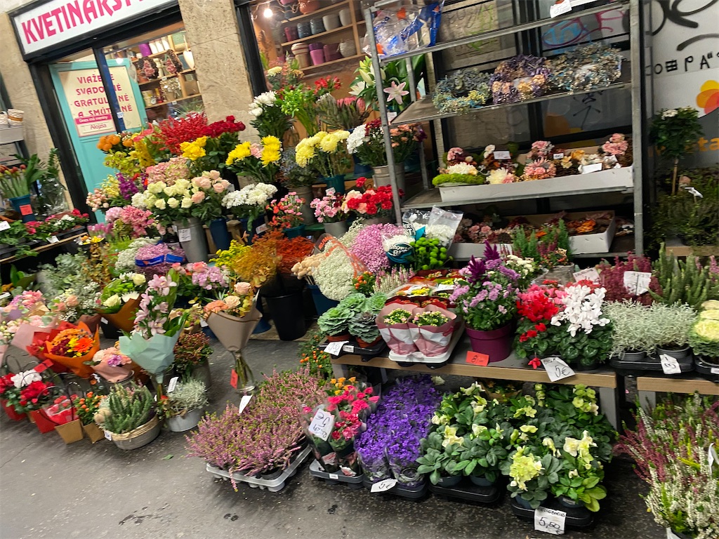 f:id:nuts-roll:20231113134409j:image f:id:nuts-roll:20231113134409j:image