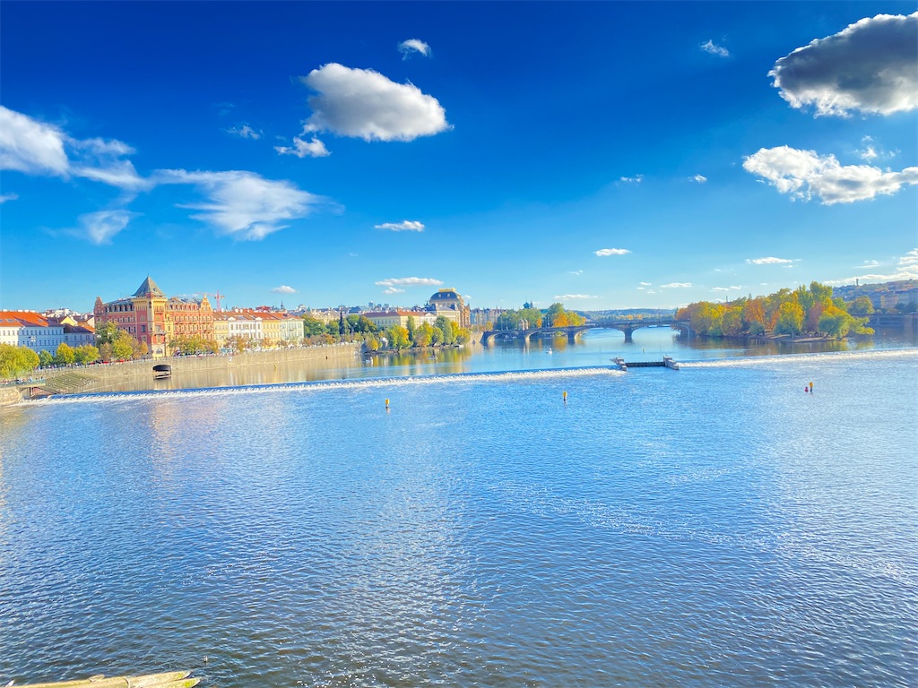 f:id:nuts-roll:20231120121902j:image f:id:nuts-roll:20231120121902j:image