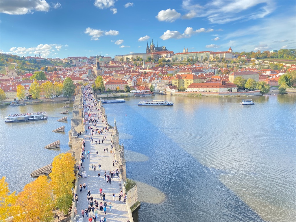 f:id:nuts-roll:20231120121909j:image f:id:nuts-roll:20231120121909j:image