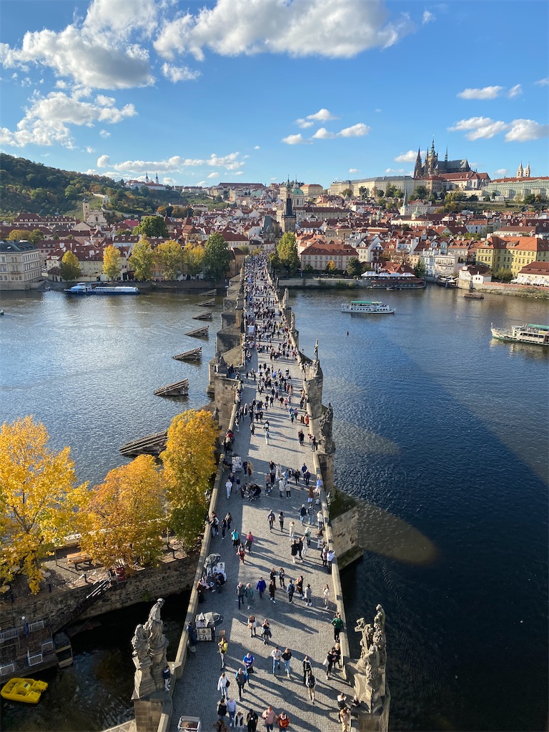 f:id:nuts-roll:20231120121921j:image f:id:nuts-roll:20231120121921j:image