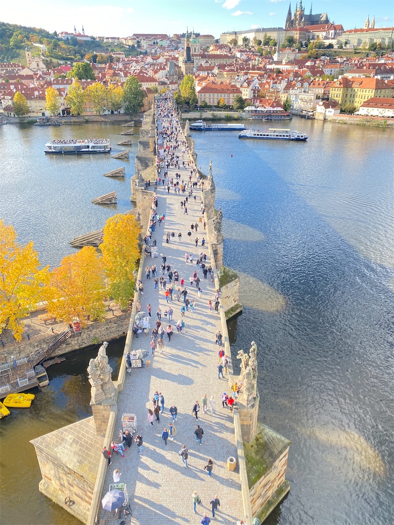 f:id:nuts-roll:20231120121925j:image f:id:nuts-roll:20231120121925j:image