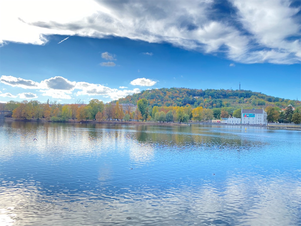 f:id:nuts-roll:20231120121934j:image f:id:nuts-roll:20231120121934j:image