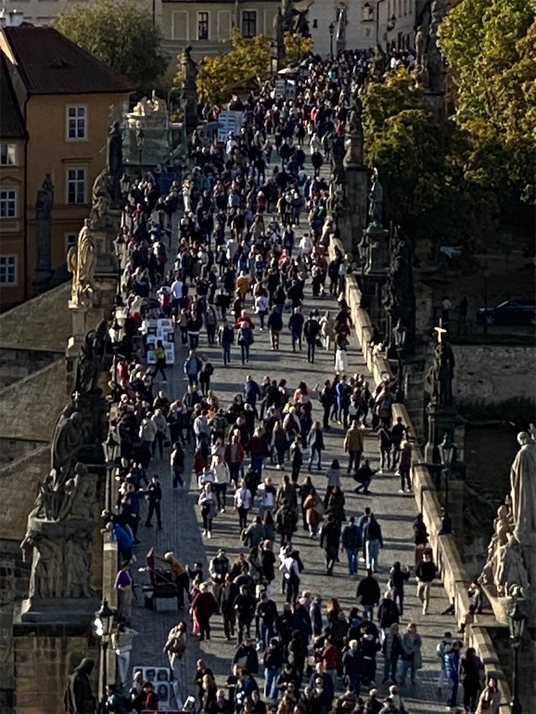 f:id:nuts-roll:20231120121953j:image f:id:nuts-roll:20231120121953j:image