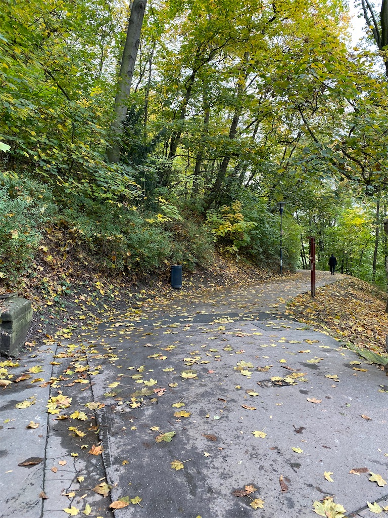 f:id:nuts-roll:20231120130553j:image f:id:nuts-roll:20231120130553j:image