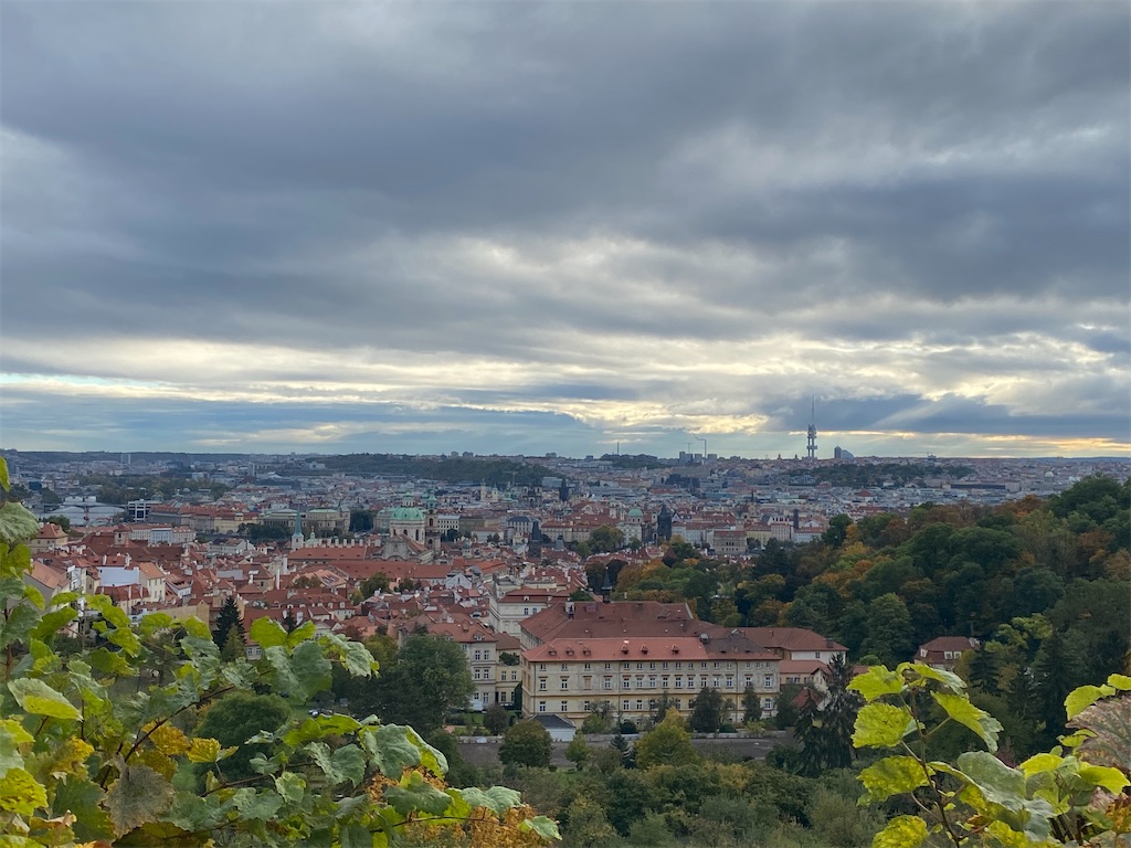 f:id:nuts-roll:20231120130638j:image f:id:nuts-roll:20231120130638j:image