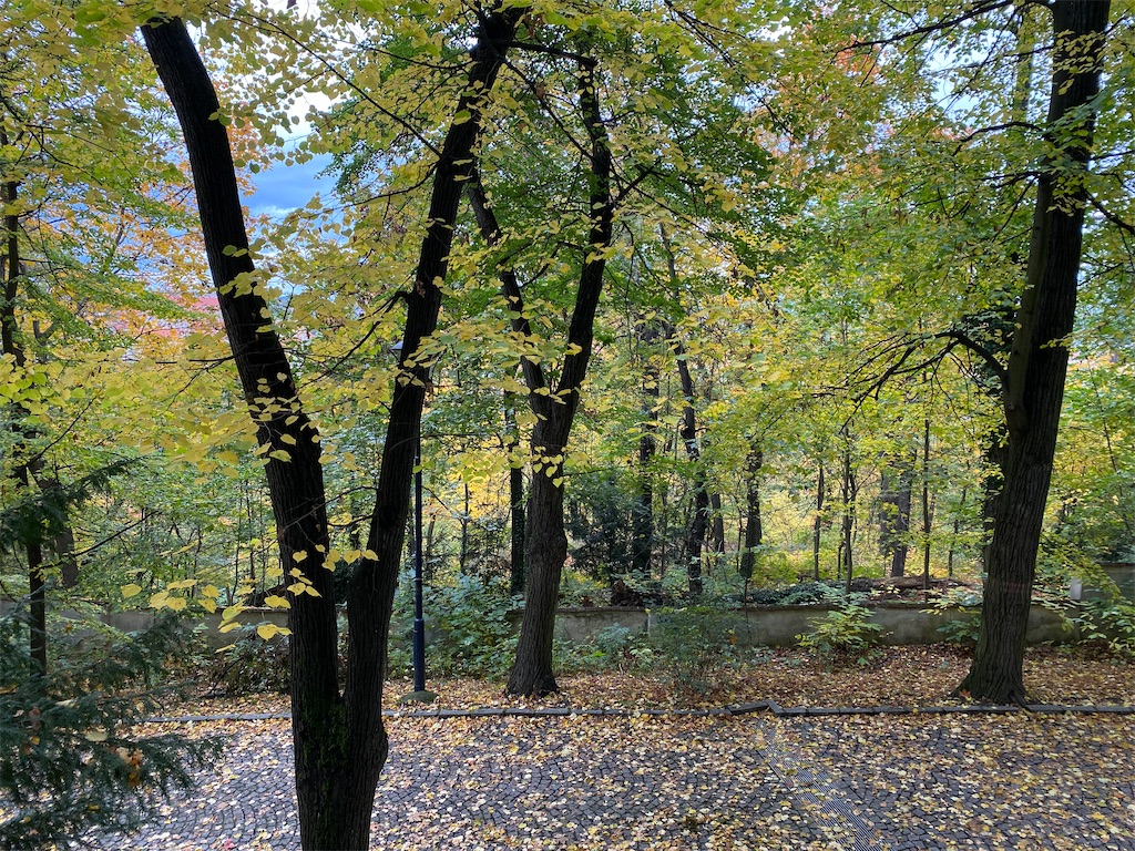 f:id:nuts-roll:20231120130703j:image f:id:nuts-roll:20231120130703j:image