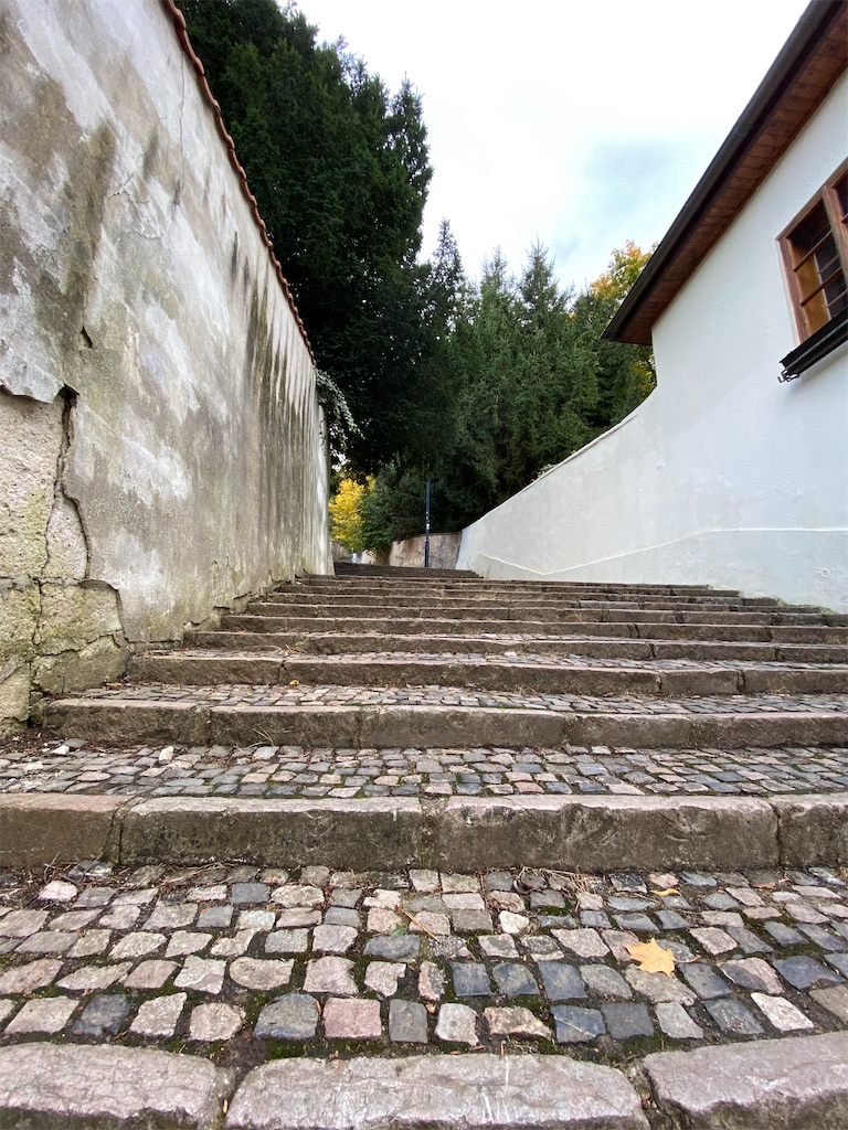 f:id:nuts-roll:20231120130707j:image f:id:nuts-roll:20231120130707j:image