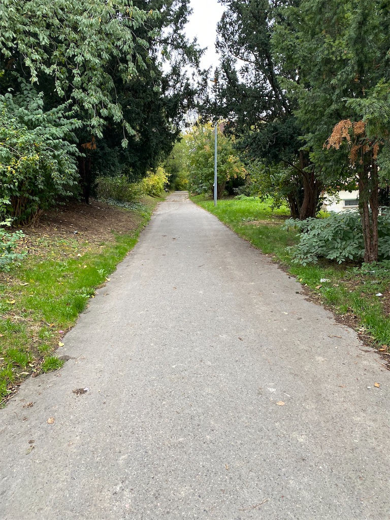 f:id:nuts-roll:20231120130718j:image f:id:nuts-roll:20231120130718j:image