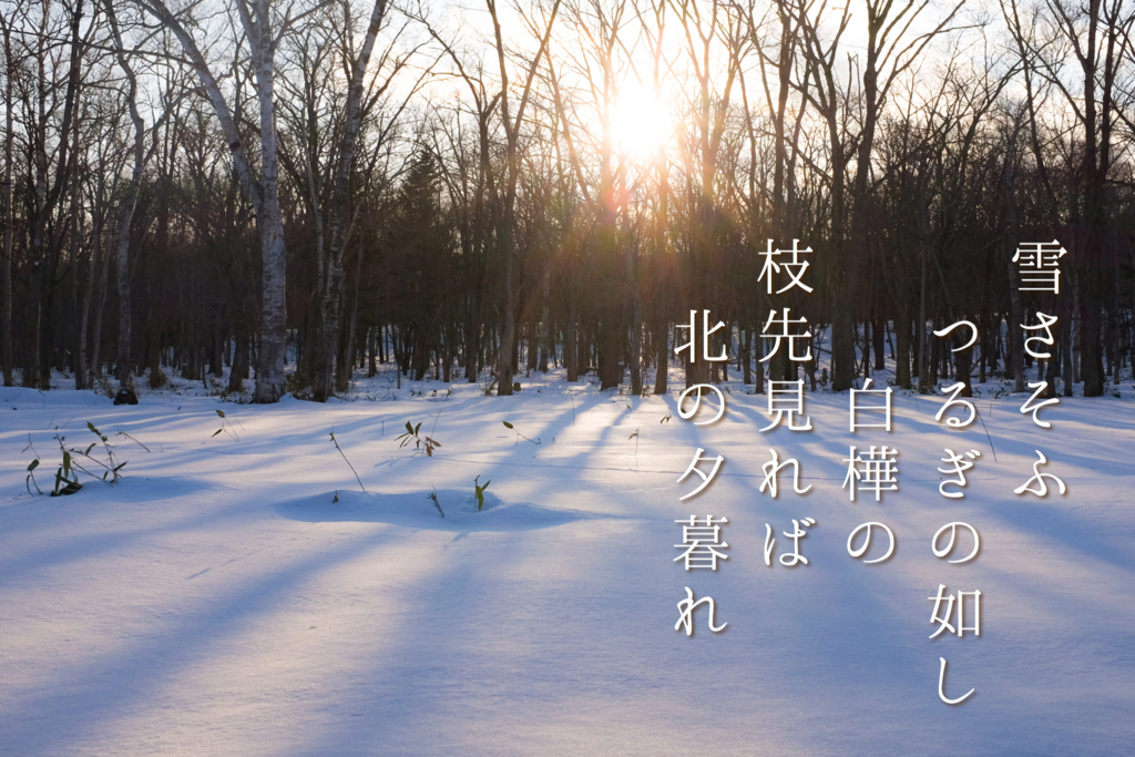 airdo 自転車