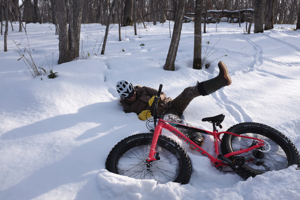 airdo 自転車