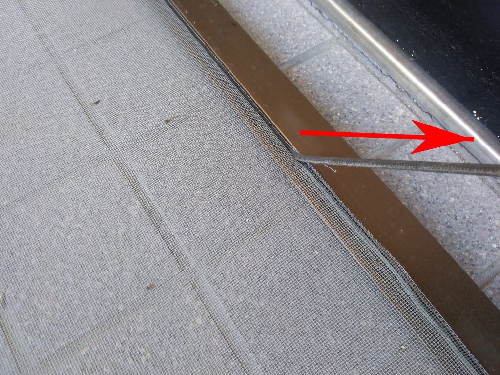 f:id:nuts_777:20190815150048j:plain f:id:nuts_777:20190815150048j:plain