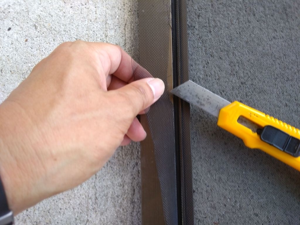 f:id:nuts_777:20190815151528j:plain f:id:nuts_777:20190815151528j:plain