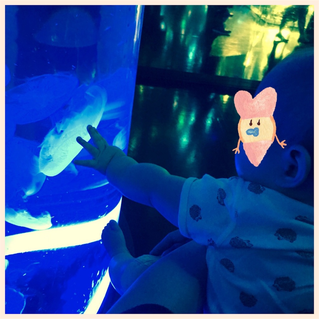 f:id:nutschang:20180503225658j:image f:id:nutschang:20180503225658j:image