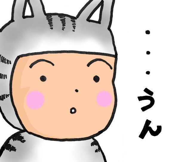f:id:nvpqa314ybbnejp:20170610141234j:image