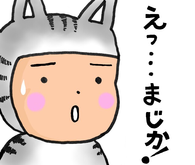 f:id:nvpqa314ybbnejp:20170610141253j:image