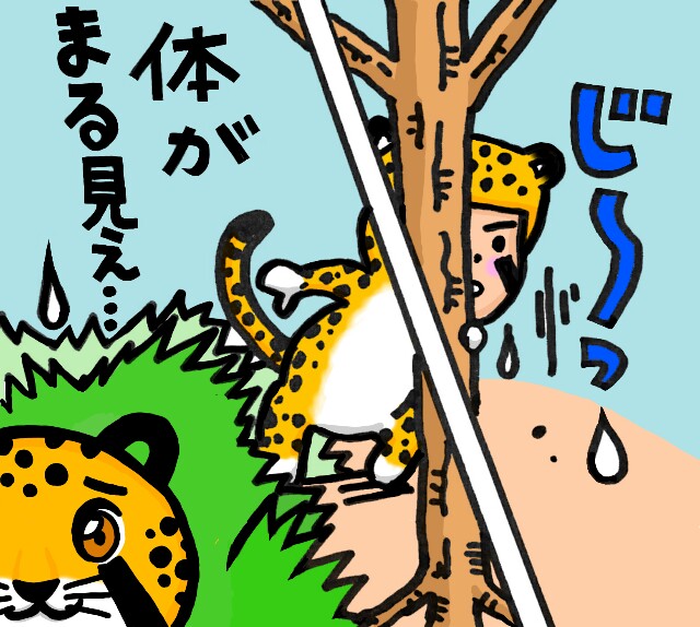 f:id:nvpqa314ybbnejp:20170610155851j:image