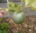 20101004192201