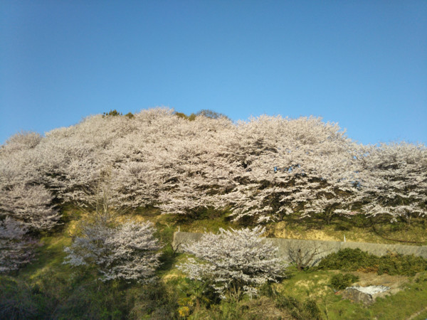 f:id:nvs:20180330221842j:plain f:id:nvs:20180330221842j:plain