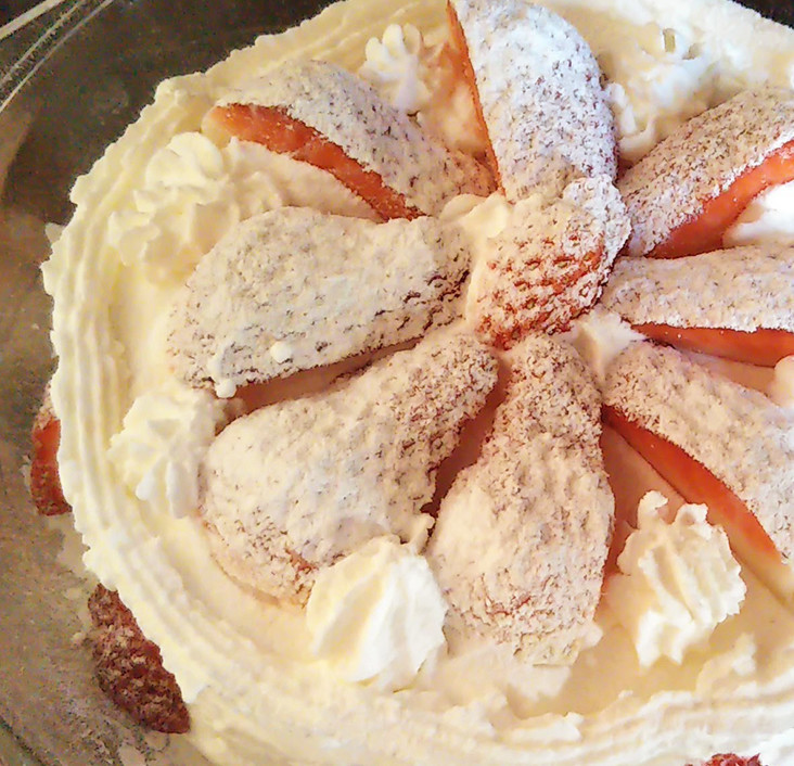 f:id:nvs:20181224232103j:plain f:id:nvs:20181224232103j:plain