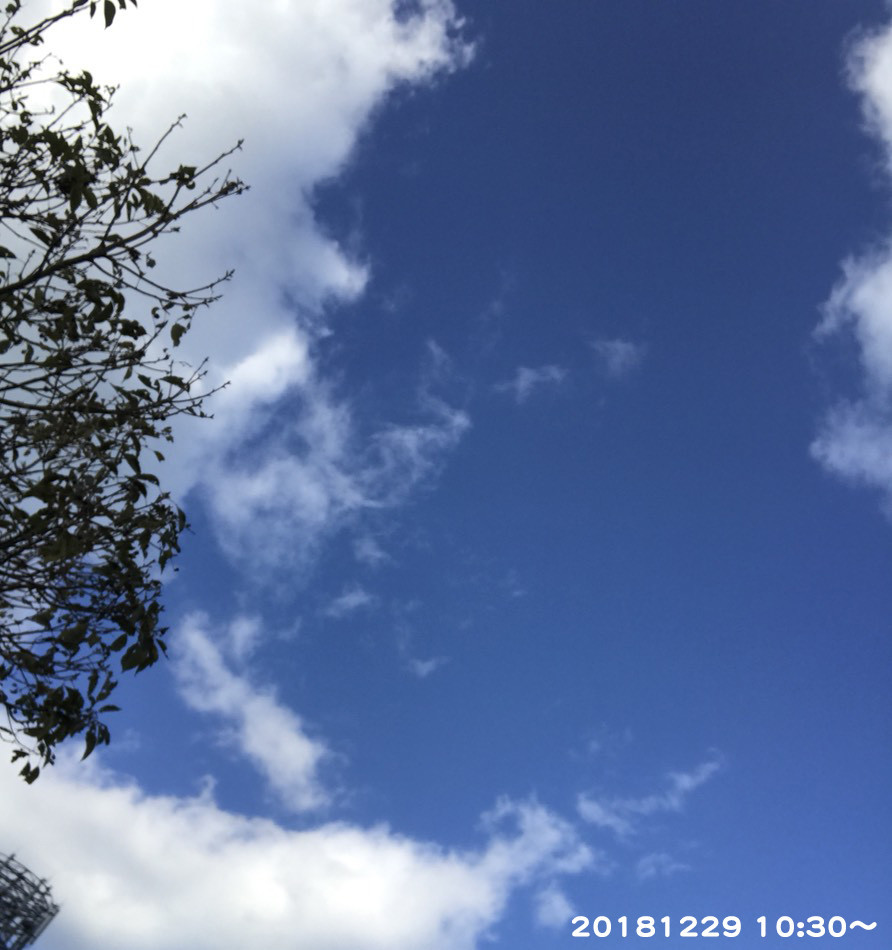 f:id:nvs:20181231030748j:plain f:id:nvs:20181231030748j:plain