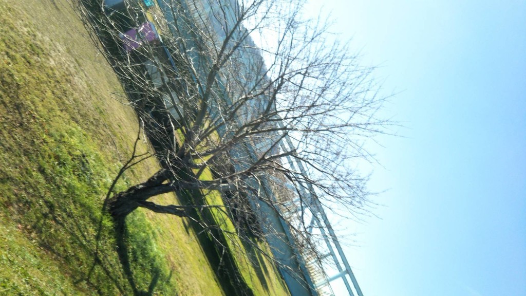 f:id:nvs:20190114233310j:plain f:id:nvs:20190114233310j:plain