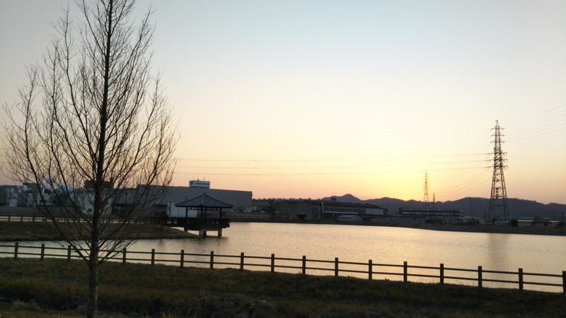 f:id:nvs:20190205122629j:plain