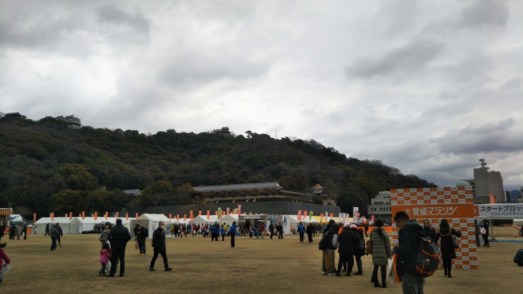 f:id:nvs:20190209201144j:plain
