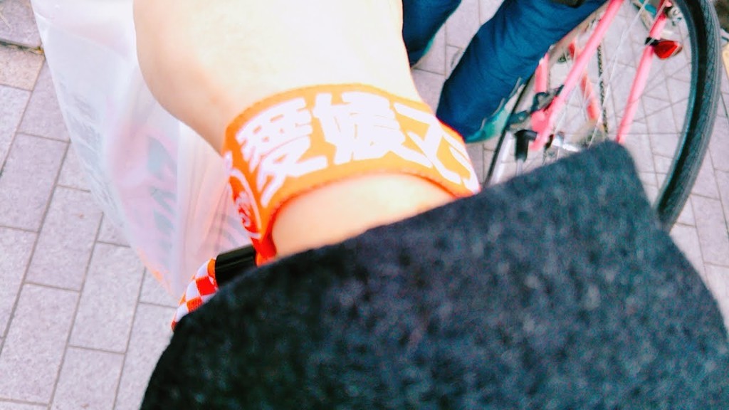 f:id:nvs:20190209201156j:plain