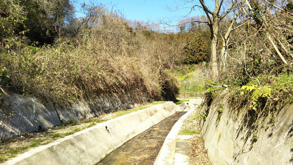 f:id:nvs:20190309232930j:plain f:id:nvs:20190309232930j:plain