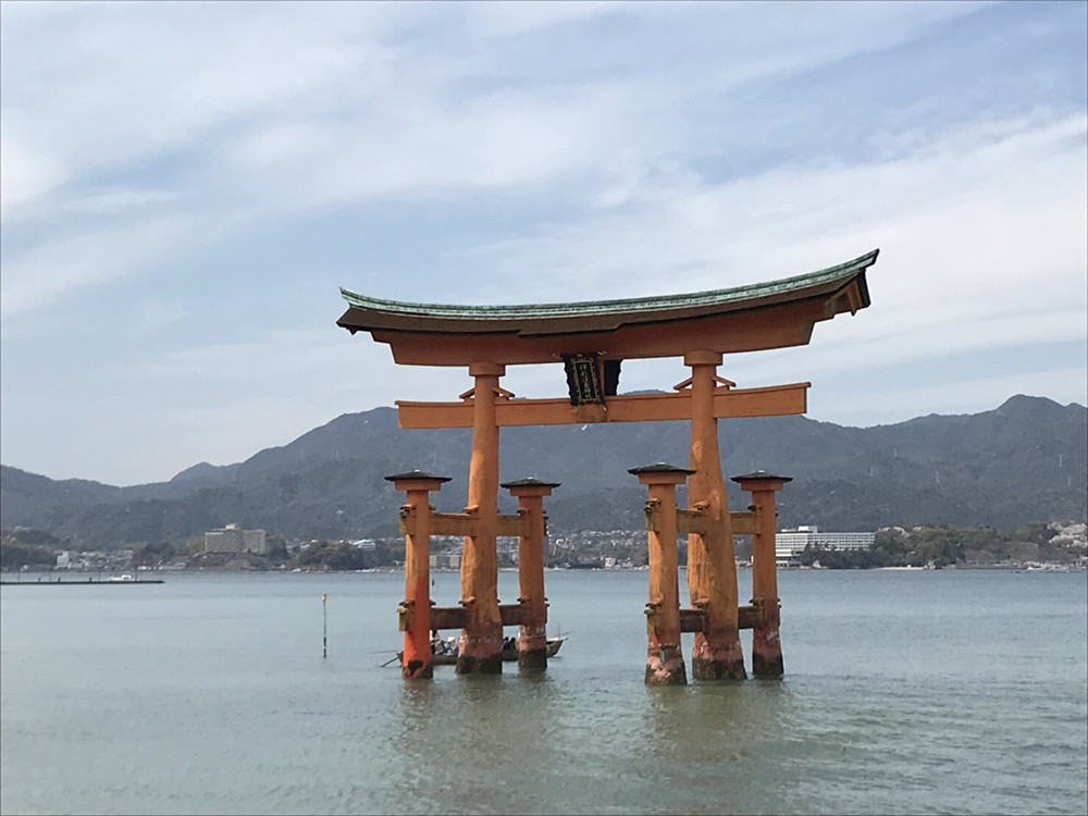 f:id:nvs:20190406225309j:plain