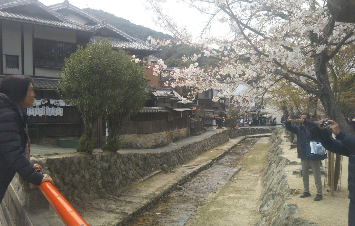 f:id:nvs:20190406225339j:plain