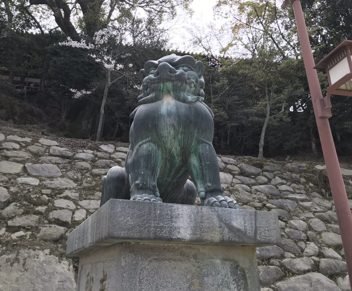 f:id:nvs:20190406225411j:plain