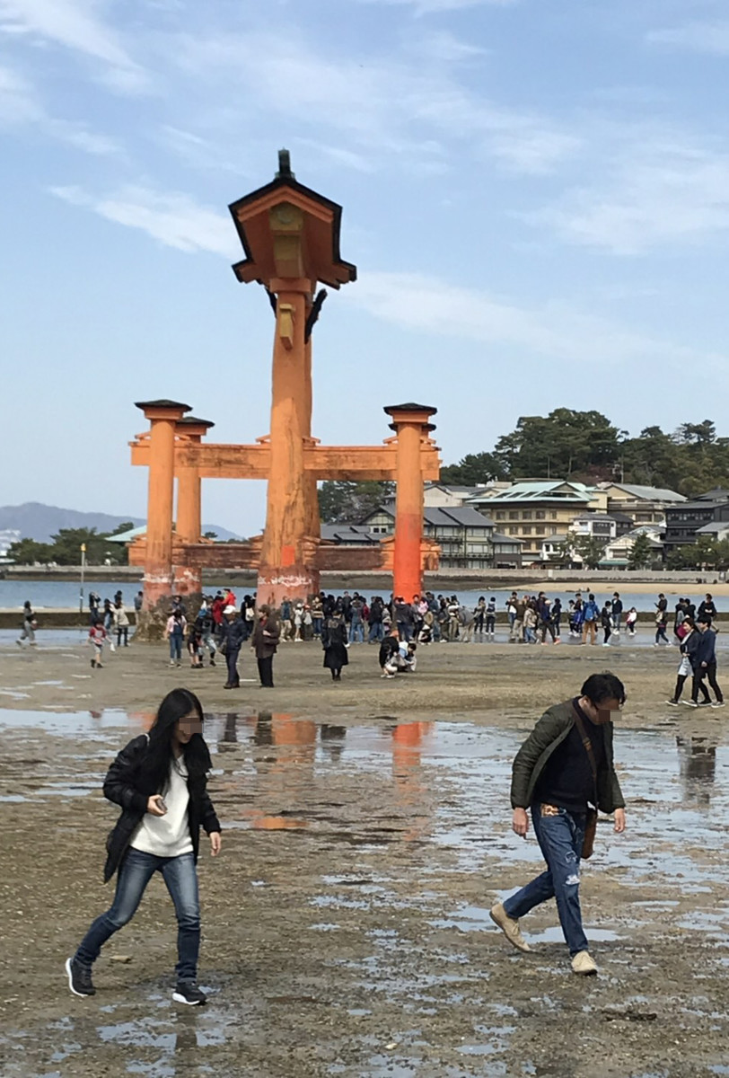 f:id:nvs:20190406225704j:plain