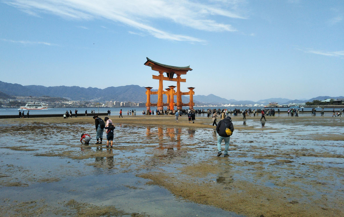 f:id:nvs:20190406225839j:plain